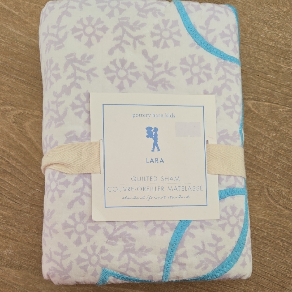 Pottery Barn Kids (2) LARA Shams